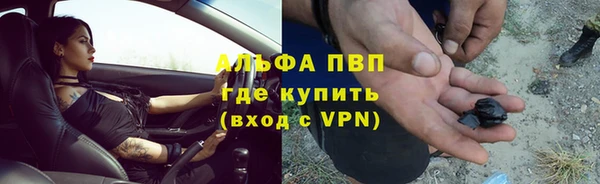 стафф Каменск-Шахтинский