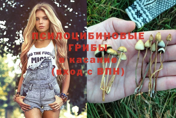 MESCALINE Зеленокумск