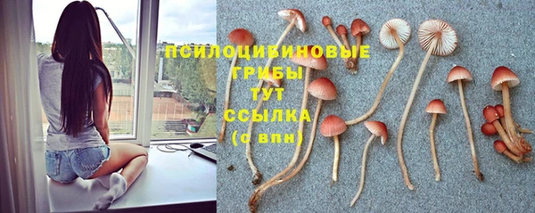 кокс Зеленодольск
