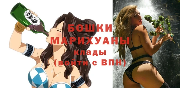 молекула духа Каменногорск
