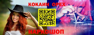 крисы Ливны