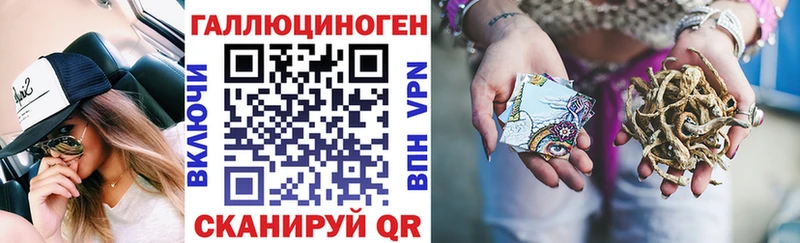 KRAKEN tor Кимовск Галлюциногенные грибы Psilocybine cubensis