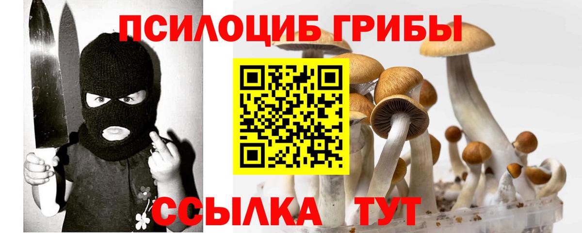 Кимовск  Галлюциногенные грибы мицелий  закладка  Псилоцибиновые грибы мицелий  Вход с VPN 